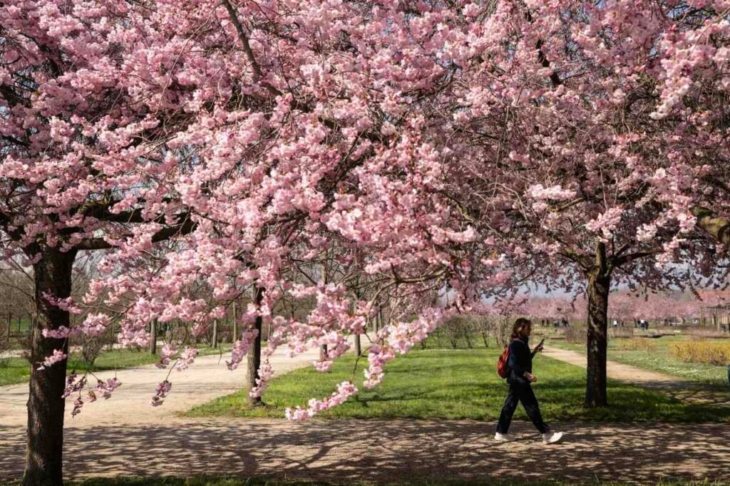 Investors who followed ‘sell in May and go away’ are missing what could be the best May for the S&P 500 in decades